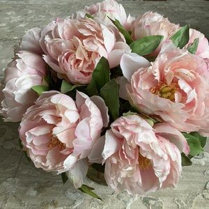 Meet your Posher, Cathlynn